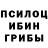 Галлюциногенные грибы ЛСД rear view