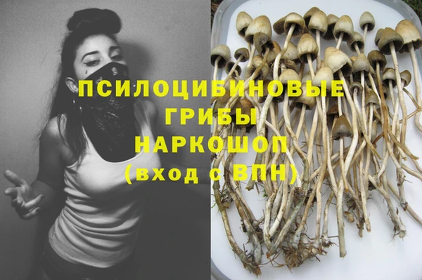 трава Бугульма