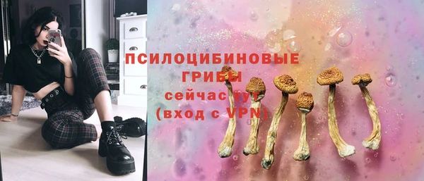 PSILOCYBIN Верея