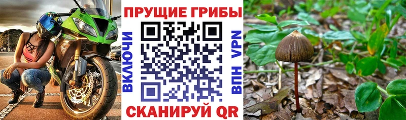 Галлюциногенные грибы Magic Shrooms Кинель