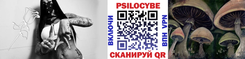 mega маркетплейс это официальный сайт Галлюциногенные грибы Cubensis где можно купить Кинель